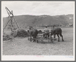 Type of hay pusher which is used in the Uncompahgre River Valley. Ouray County, Colorado