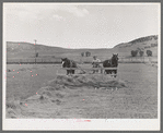 Piling hay with pusher in the Uncompahgre River Valley. Ouray County, Colorado