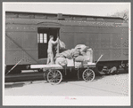 Taking off the mail at the morning train. Montrose, Colorado