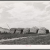 Stacks of hay on farm. Cornish, Utah