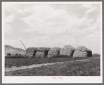 Stacks of hay on farm. Cornish, Utah