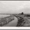 Irrigation ditch leading to farm, Montrose