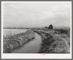 Irrigation ditch leading to farm, Montrose