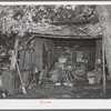 Interior of shed on farm of Perry Warner. Tehama County, California