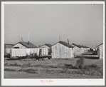 Housing for white transient workers at Giffen Ranch. Southwest Mendota, California