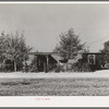 Home of married couple working on Earl Fruit Company ranch. Kern County, California. These houses have been made from boxcars