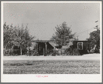 Home of married couple working on Earl Fruit Company ranch. Kern County, California. These houses have been made from boxcars