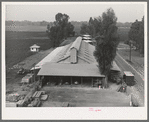 Warehouse at Mineral King cooperative farm. Tulare County, California