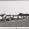 Housing for white transient workers at Giffen Ranch. Southwest Mendota, California