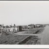 Part of Bull tract near Marysville, California. Houses set on half and one acre lot are sold to workers who build their houses on them. (see full title in "notes" section)