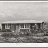 House of member on the Mineral King cooperative farm. Tulare County, California