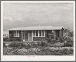 House of member on the Mineral King cooperative farm. Tulare County, California