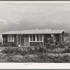 House of member on the Mineral King cooperative farm. Tulare County, California