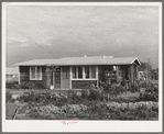 House of member on the Mineral King cooperative farm. Tulare County, California