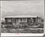 House of member on the Mineral King cooperative farm. Tulare County, California