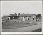 Houses on the Bull tract. Near Marysville, California