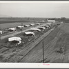 General view of houses for members of Mineral King cooperative farm. Visalia, California