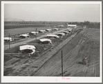 General view of houses for members of Mineral King cooperative farm. Visalia, California