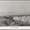 Housing for white transient workers of Giffen Ranch. Southwest Mendota, California