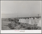 Housing for white transient workers of Giffen Ranch. Southwest Mendota, California