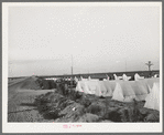 Housing for white transient workers of Giffen Ranch. Southwest Mendota, California