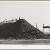 Pile of sugar beets waiting for processing at sugar beet plant. Lewiston, Utah. Shasta County, California