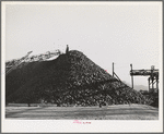 Pile of sugar beets waiting for processing at sugar beet plant. Lewiston, Utah. Shasta County, California