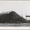 Pile of sugar beets waiting for processing at sugar beet plant. Lewiston, Utah. Shasta County, California