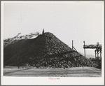 Pile of sugar beets waiting for processing at sugar beet plant. Lewiston, Utah. Shasta County, California