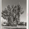 Home of Mormon farmer. Tropic, Utah