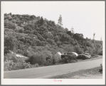 Trailer and tent camp of construction workers at Shasta Dam. Summit City, California