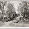 Tourist court near Summit City, California. This camp is used by the construction workers at Shasta Dam for living quarters