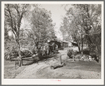 Tourist court near Summit City, California. This camp is used by the construction workers at Shasta Dam for living quarters