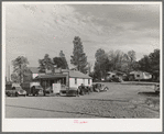 Town of Buckeye, California, now a boom town near Shasta Dam