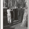 Carpenter's wife hanging up coat to dry. Mission Valley, California, which is about three miles from San Diego. This family is living in a tent because of inability to find suitable housing. A heavy rain the night before had everything wet in their tent