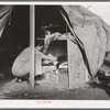 Carpenter's wife taking things out of improvised closet in her tent-home. Mission Valley, California, about three miles from San Diego