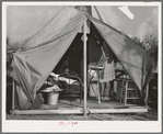 Construction worker's wife ironing in her tent home. Mission Valley, California, about three miles from San Diego