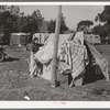 Concrete workman's wife drying out blankets that were wet during the rain the night before. Pacific Beach, California