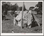 Concrete workman's wife drying out blankets that were wet during the rain the night before. Pacific Beach, California