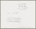 Row of trailers in trailer court. Corpus Christi, Texas