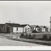 Cheap houses under construction. Corpus Christi, Texas