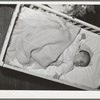 Baby of laborer from northwest Texas who has come to Corpus Christi, Texas, to work at the naval air base