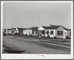 Houses in the Alameda residential section of Corpus Christi, Texas. These houses are about two years old and were built by people who came into Corpus Christi because of the oil boom, sea wall construction work, etc