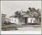 Shotgun type of house occupied by workman and his family. Corpus Christi, Texas. This is the better type of housing in one of the cheapest residential sections