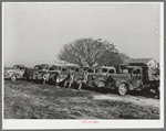 Line-up of trucks at truckers' camp near naval air base. Corpus Christi, Texas