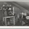 Interior of tent home of roofer and his family. Corpus Christi, Texas