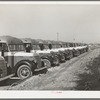 Line up of buses used to transport workmen to the construction work at the naval air training base. Corpus Christi, Texas