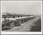 Line up of buses used to transport workmen to the construction work at the naval air training base. Corpus Christi, Texas