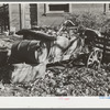 Leaves drift down on unused farm equipment. Auburn, California. This is a section which is rapidly declining because of changed market conditions. These fruit farmers raise varieties of plums and pears that are no longer acceptable to the eastern market