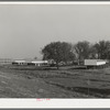 Housing for permanent farm workers at the Yuba City FSA farm workers' camp. Yuba City, California